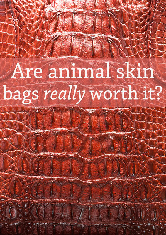 The Birkin Bag Controversy and What it Means for Sustainable Fashion