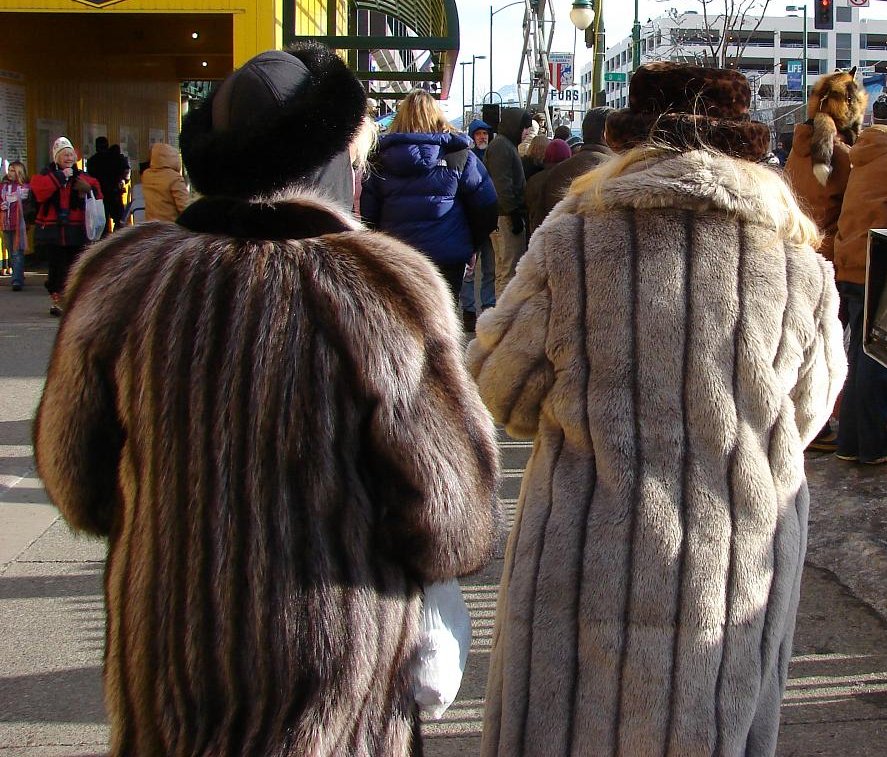 Fur Coats To The Homeless, Where To Donate Fur Coats