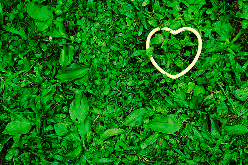 heart in grass