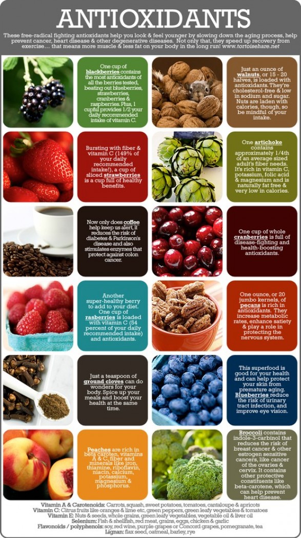 Antioxidants Infographic