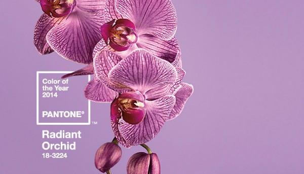 Pantone Color of the Year 2014