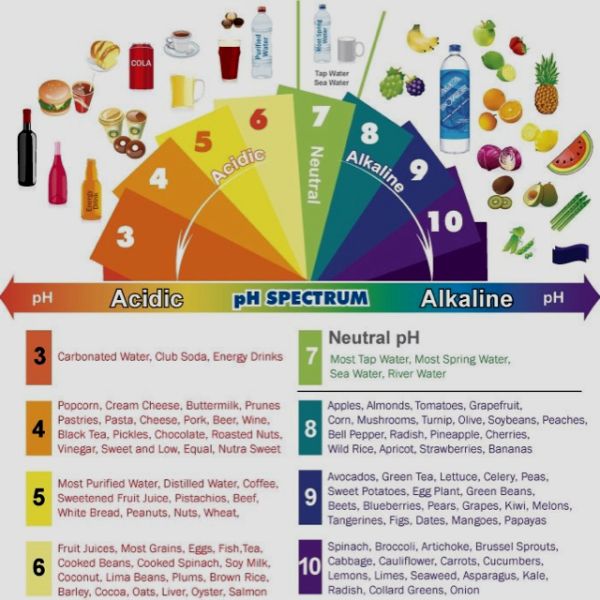 Alkaline diet via Pinterest