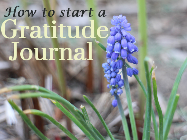 How to start a gratitude journal