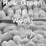 Wool is Green? What this campaign leaves out.
