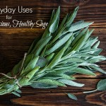 Everyday Uses for Healthy Herbs