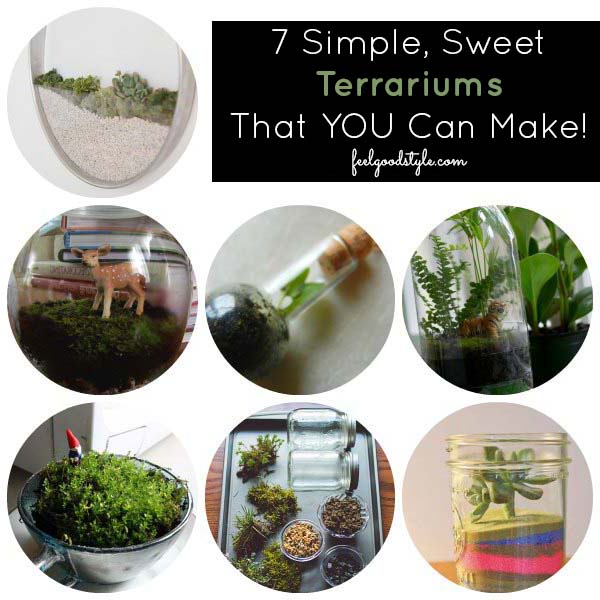 7 Terrarium Ideas That YOU Can Make