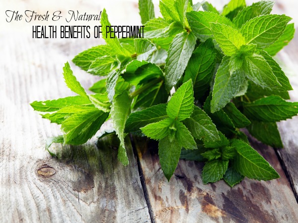 The Natural Health Benefits of Peppermint