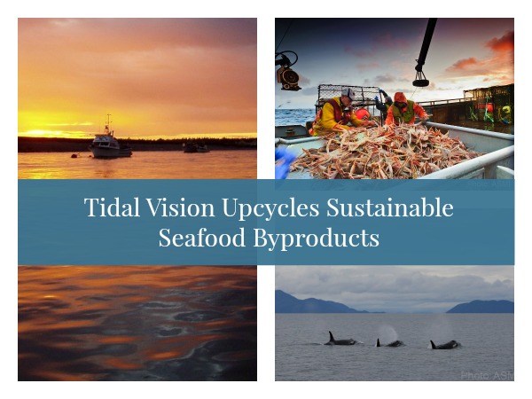 Tidal Vision Upcycles Sustainable Seafood Byproducts for Clothing + Accessories