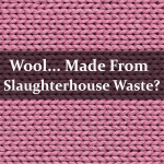 Would You Wear Wool Made from Slaughterhouse Scraps?